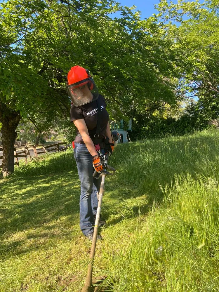 Professional landscape installation in Auburn, CA by Precise Landscaping