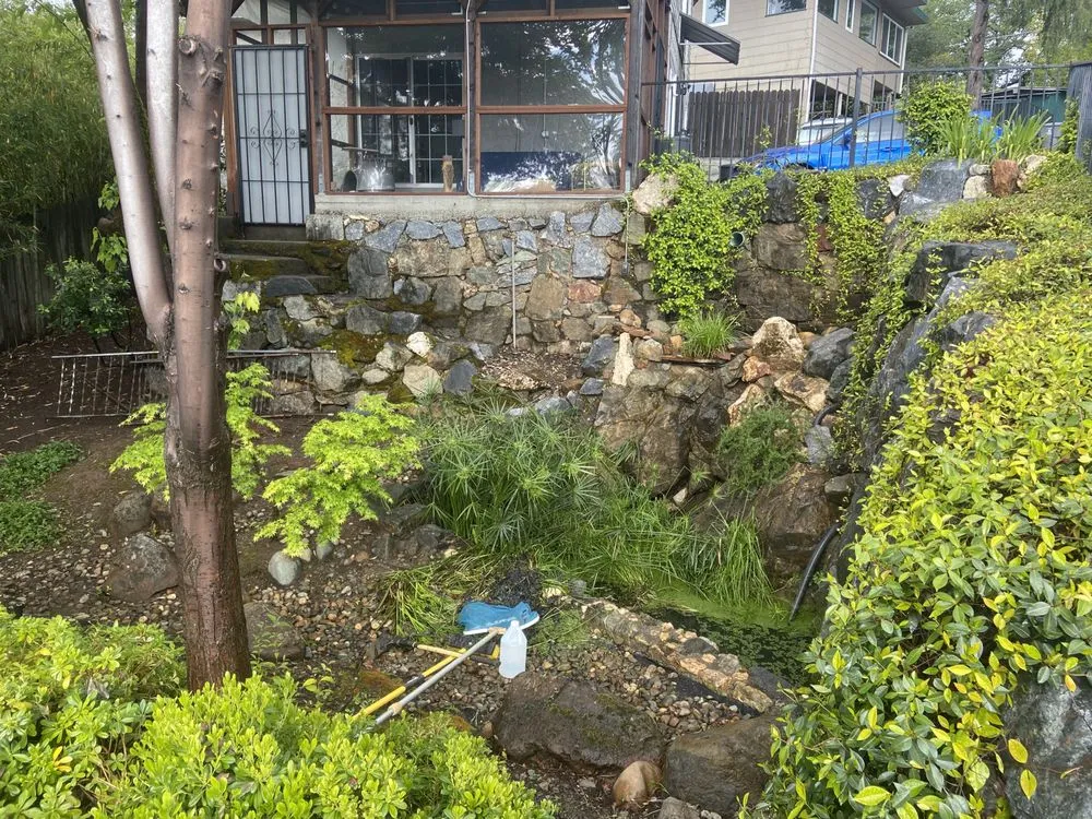 Top-rated landscape installation for homes across Auburn, CA - Precise Landscaping