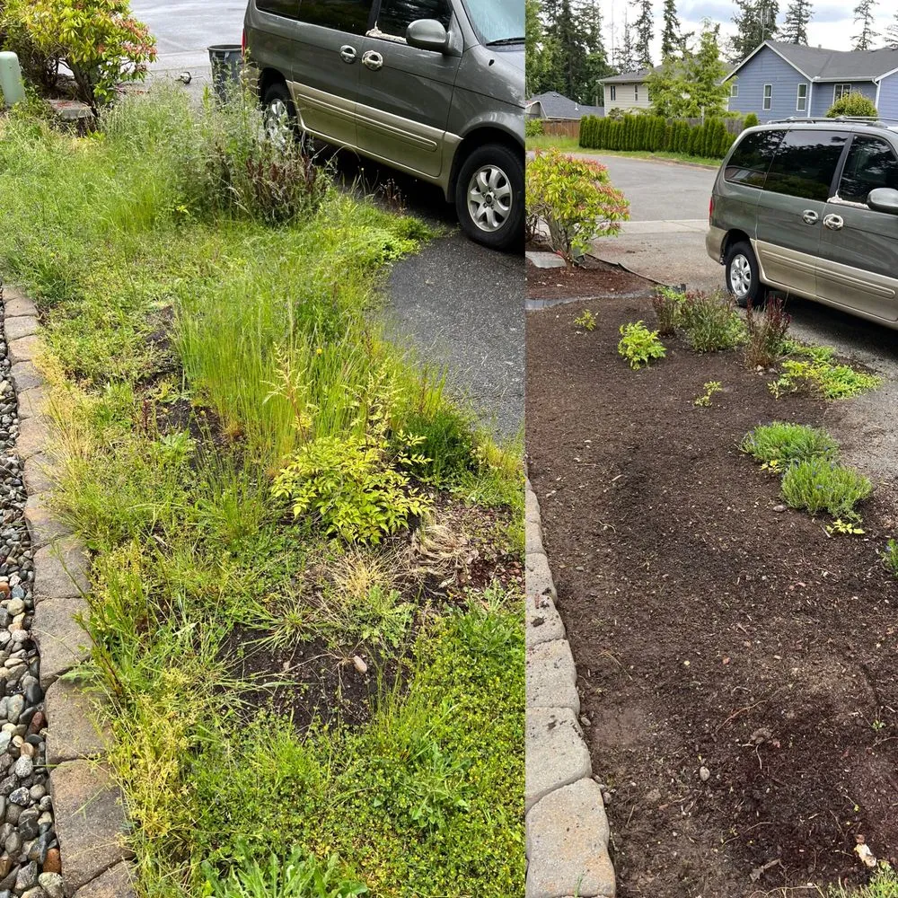 Professional lawn care service for residential properties across Bothell, WA - Precise Landscaping