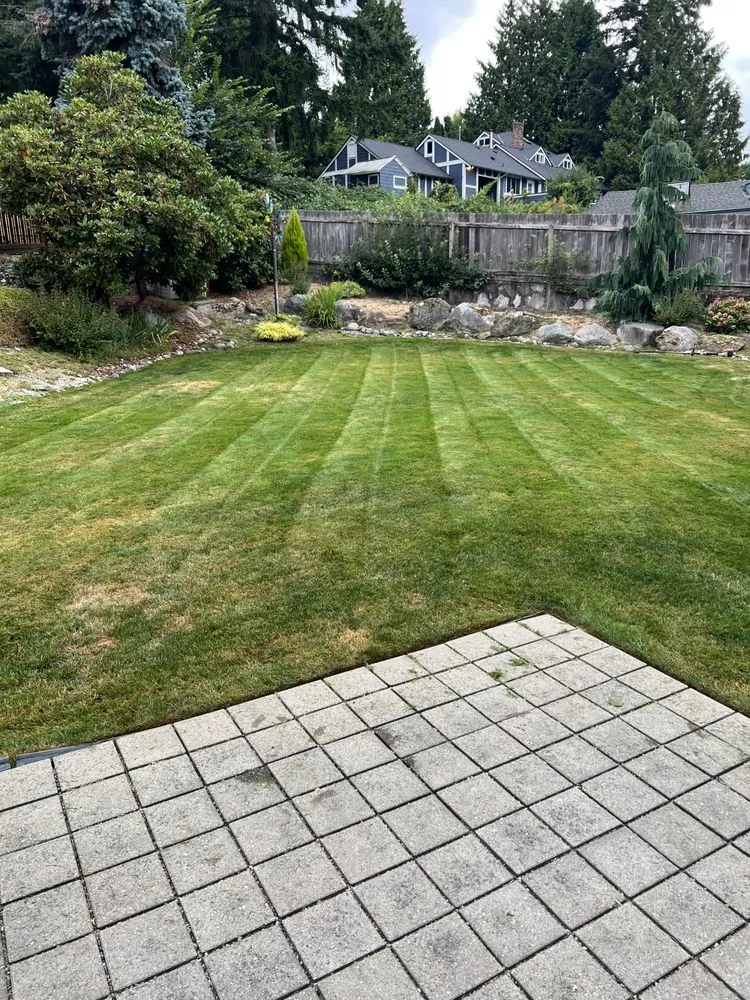 Expert yard maintenance for outdoor upgrades in Bothell, WA by Precise Landscaping