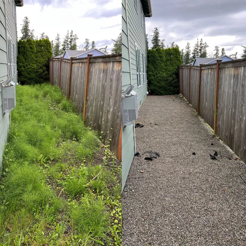 Trusted yard cleanup service for beautiful yards across Bothell, WA - Precise Landscaping