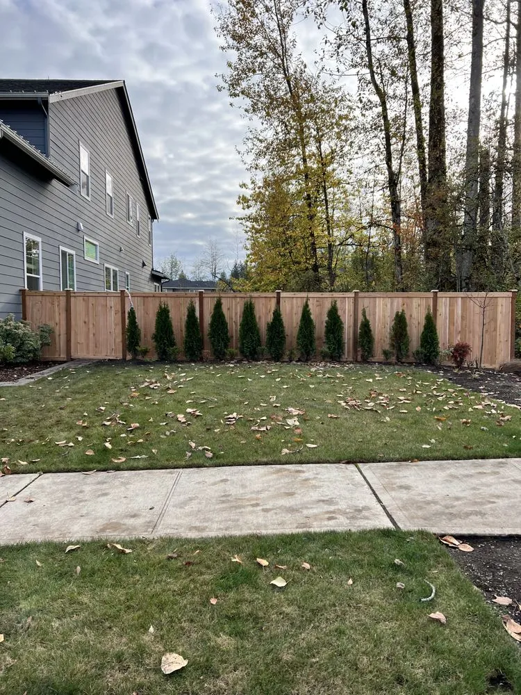Top-rated landscaping services experts serving Bothell, WA - Precise Landscaping