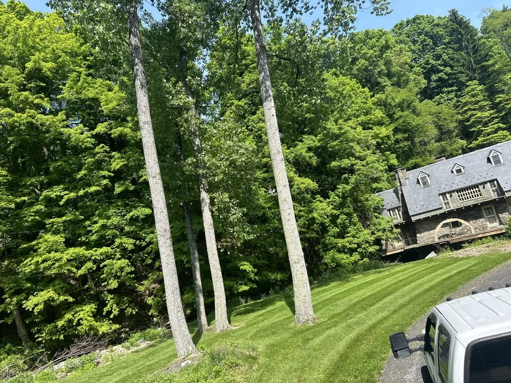 Local residential landscaping near you in Brewster, NY by Precise Landscaping