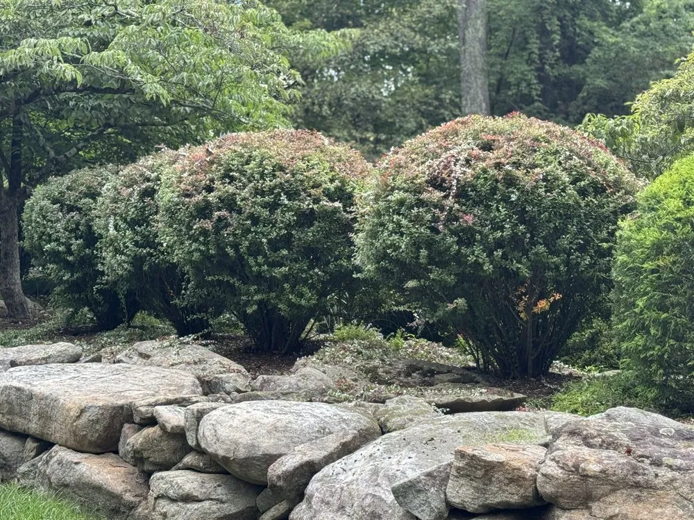 Top-rated landscape installation in Califon, NJ by Precise Landscaping