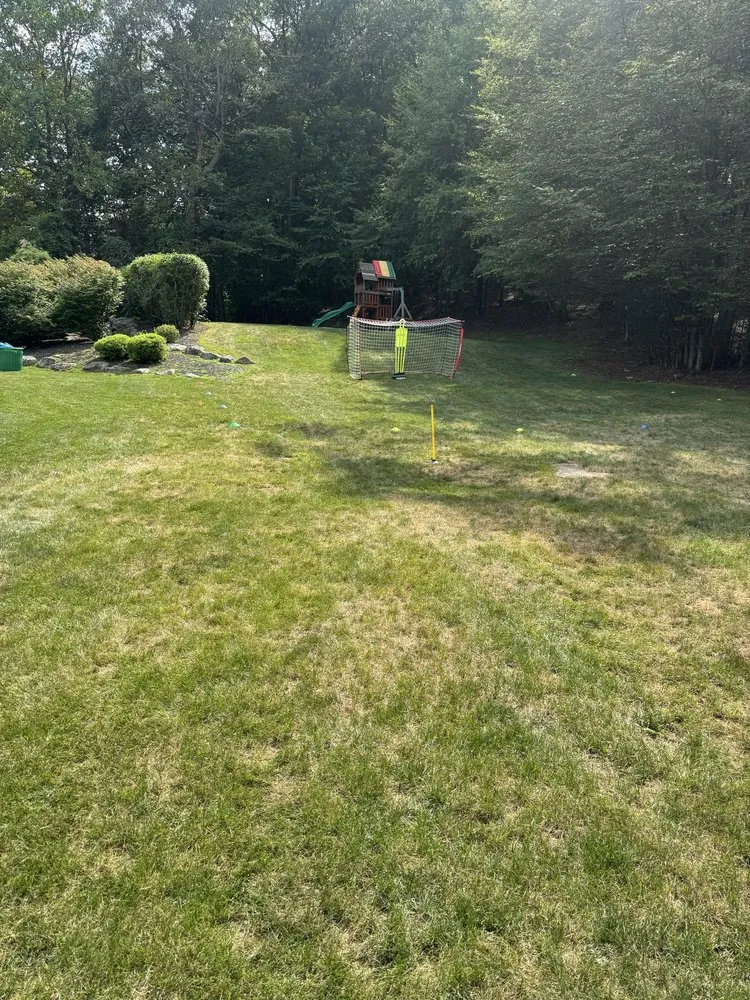 Professional outdoor landscaping for year-round maintenance across Califon, NJ - Precise Landscaping