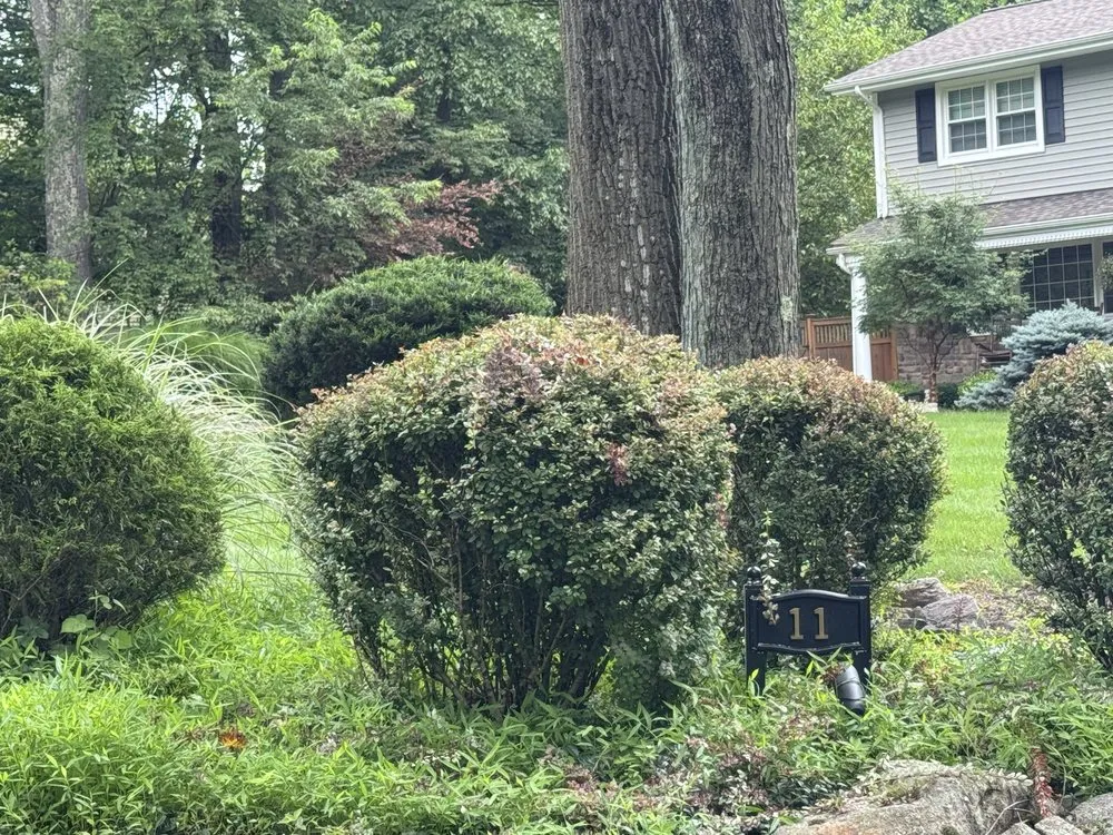 Affordable landscape design in Califon, NJ - Precise Landscaping