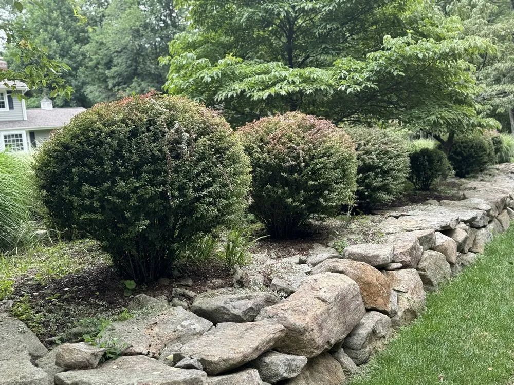 Reliable landscaping services in Califon, NJ by Precise Landscaping