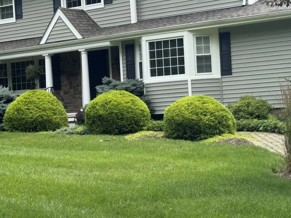 Trusted yard maintenance experts serving Califon, NJ - Precise Landscaping