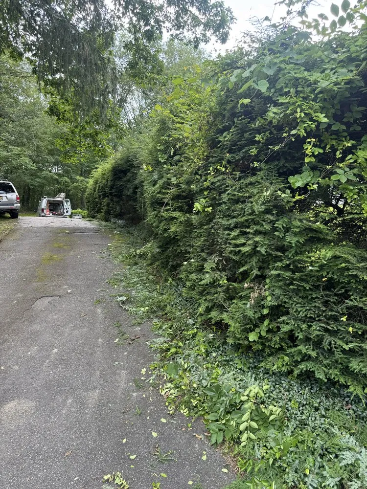 Local landscaping services experts serving Califon, NJ - Precise Landscaping