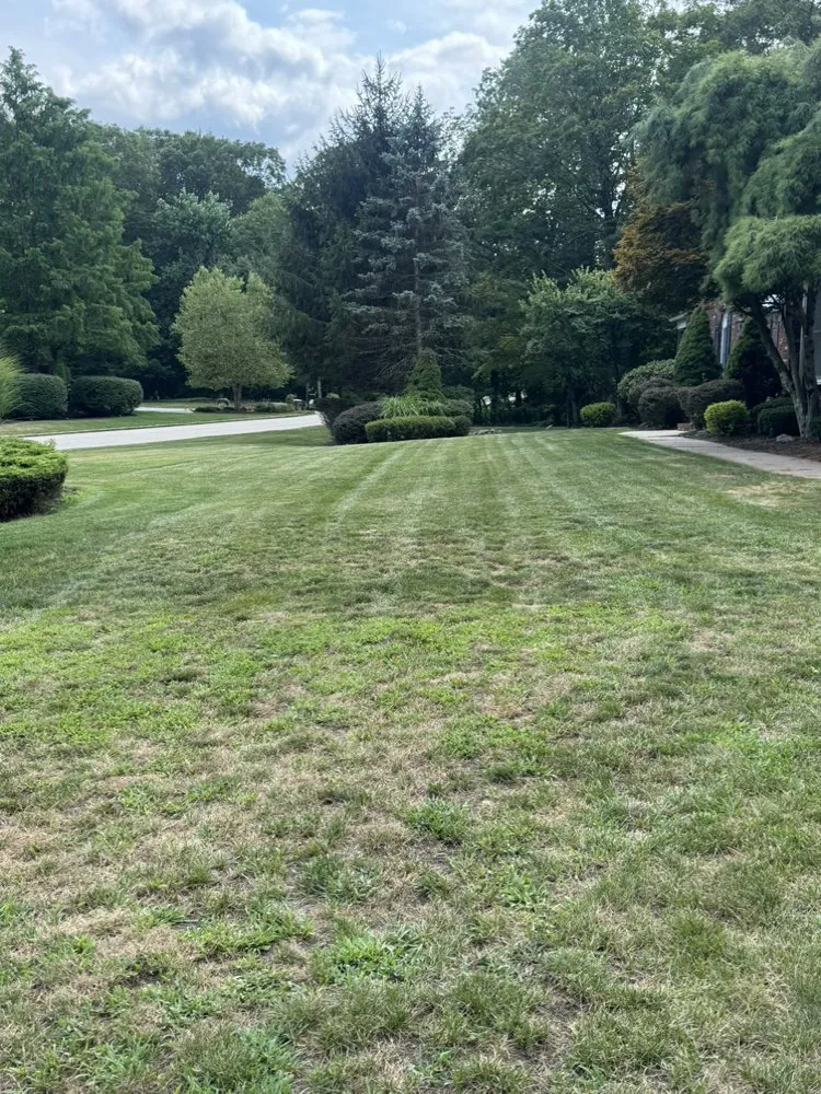 Local outdoor landscaping in Califon, NJ by Precise Landscaping