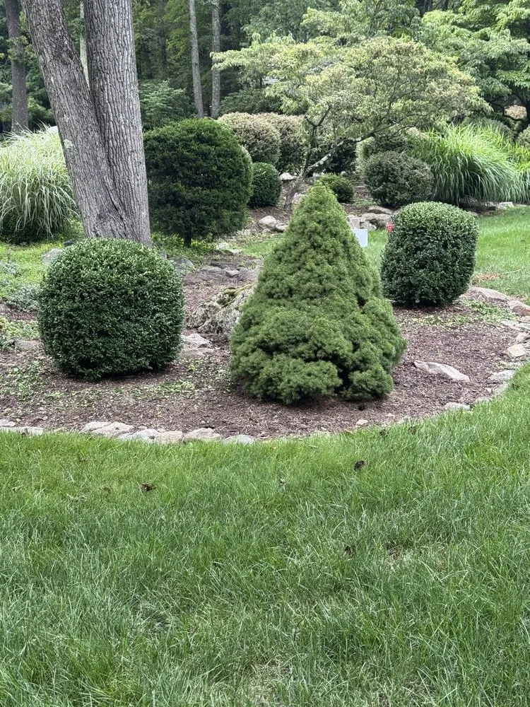 Reliable landscaping services for homes in Califon, NJ by Precise Landscaping