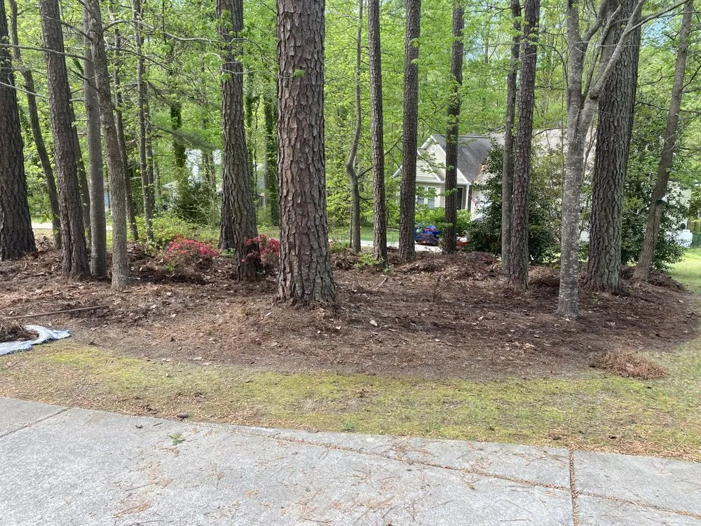 Custom garden landscaping for residential properties across Franklinton, NC - Precise Landscaping