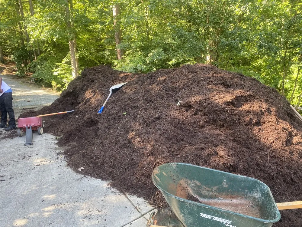 Top-rated landscape design in Franklinton, NC by Precise Landscaping