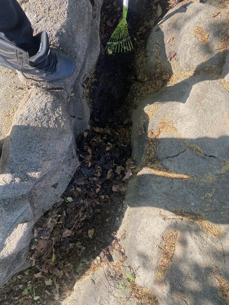 Top-rated landscape design in Franklinton, NC by Precise Landscaping