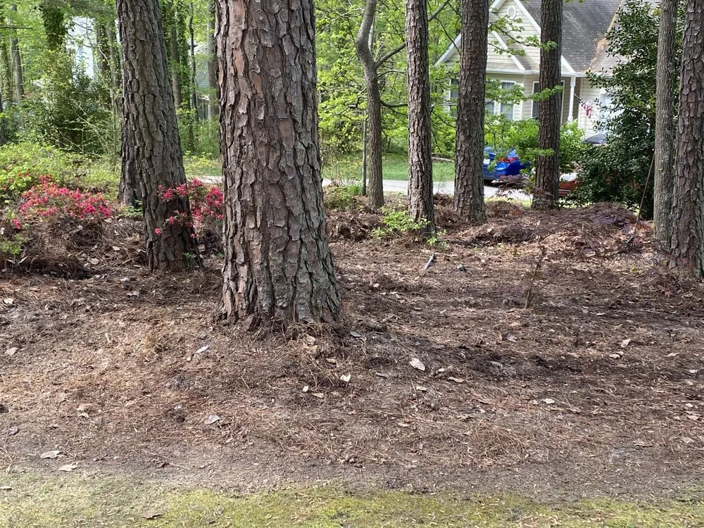 Trusted garden landscaping in Franklinton, NC - Precise Landscaping