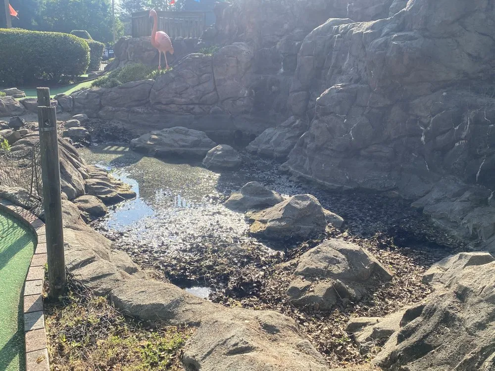 Professional residential landscaping in Franklinton, NC by Precise Landscaping