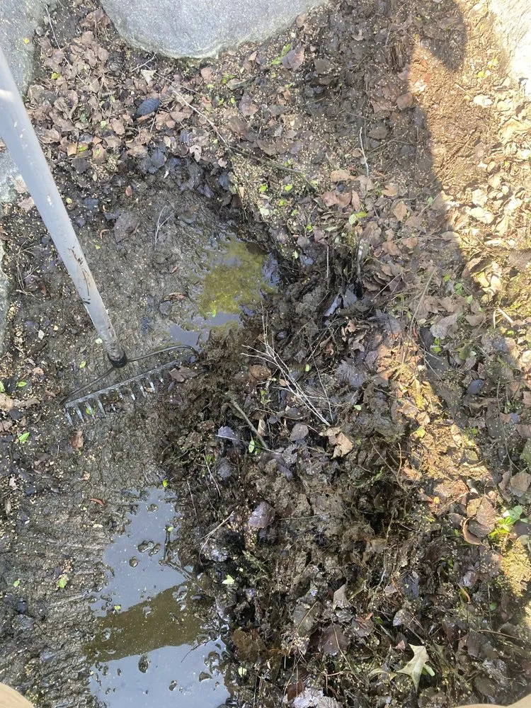 Local lawn care service in Franklinton, NC - Precise Landscaping