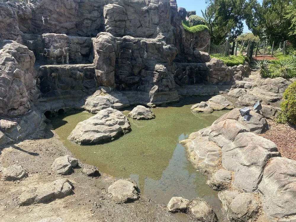 Professional residential landscaping for year-round maintenance across Franklinton, NC - Precise Landscaping