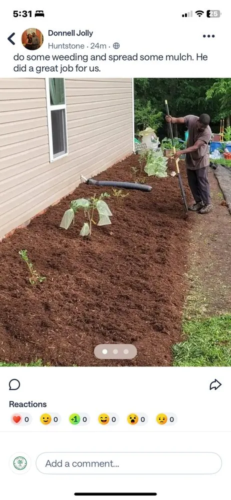 Custom yard maintenance in Franklinton, NC - Precise Landscaping