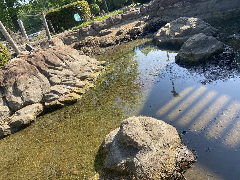 Professional landscape design in Franklinton, NC - Precise Landscaping