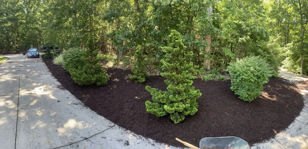 Top-rated lawn care service in Franklinton, NC - Precise Landscaping