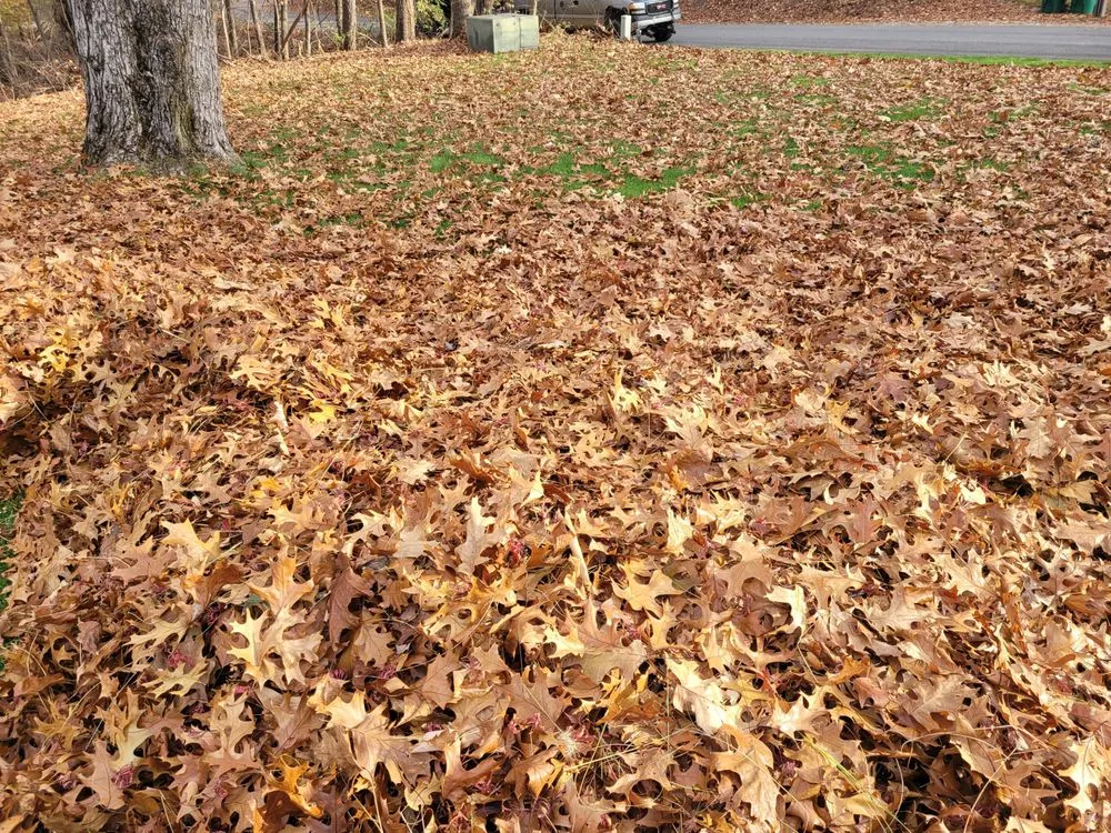 Local outdoor landscaping for year-round maintenance in Three Rivers, MI by Precise Landscaping