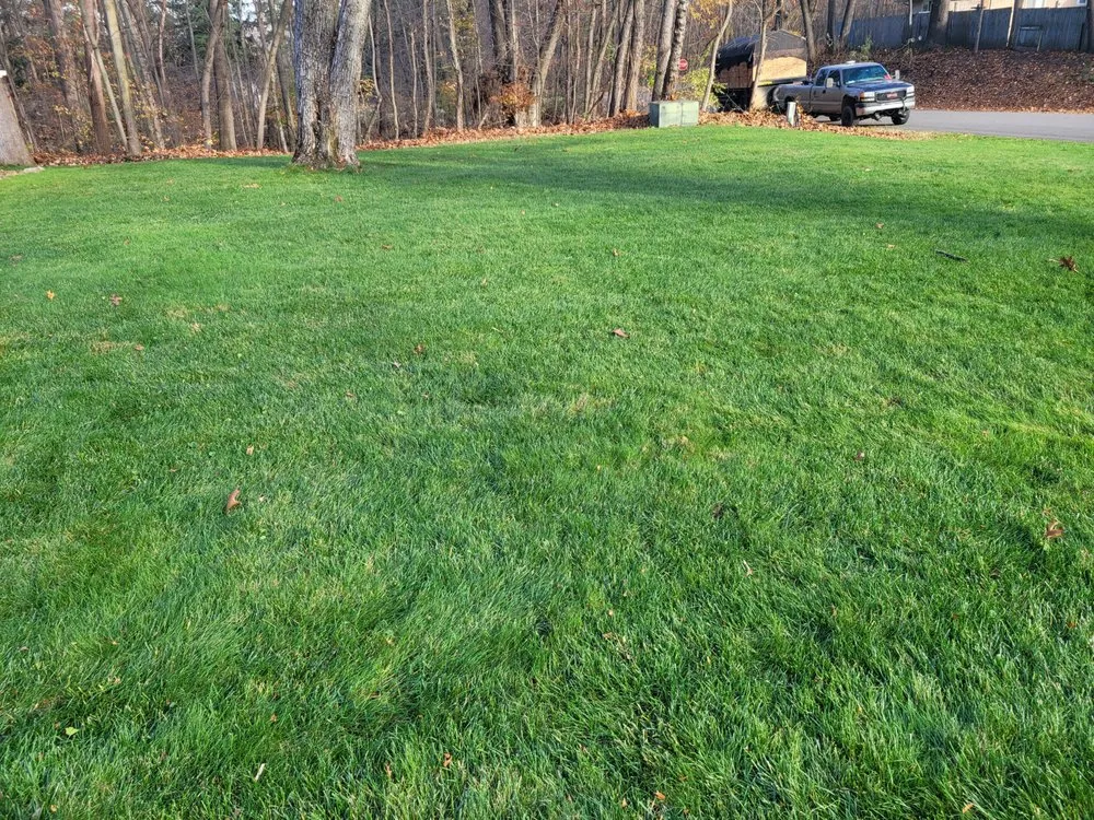Custom lawn care service experts serving Three Rivers, MI - Precise Landscaping