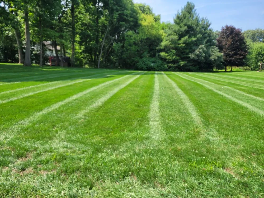 Expert lawn mowing service for residential properties across Three Rivers, MI - Precise Landscaping