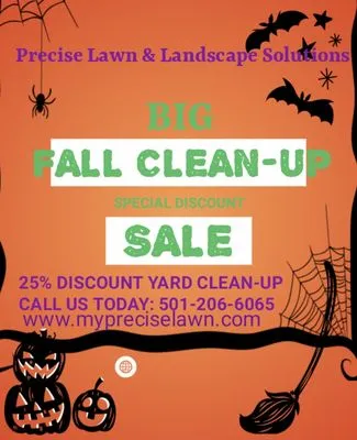 Precise Lawn & Landscape Solutions