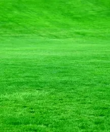 Top-rated landscaping services in Nazareth, PA - Precise Lawn and Yardcare