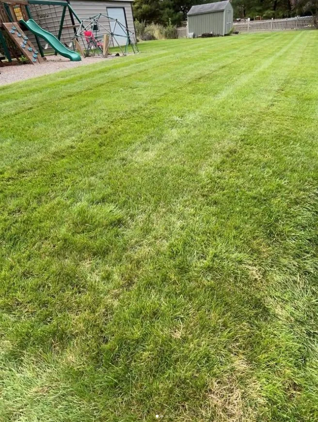 Professional yard cleanup service for residential properties in Nazareth, PA by Precise Lawn and Yardcare