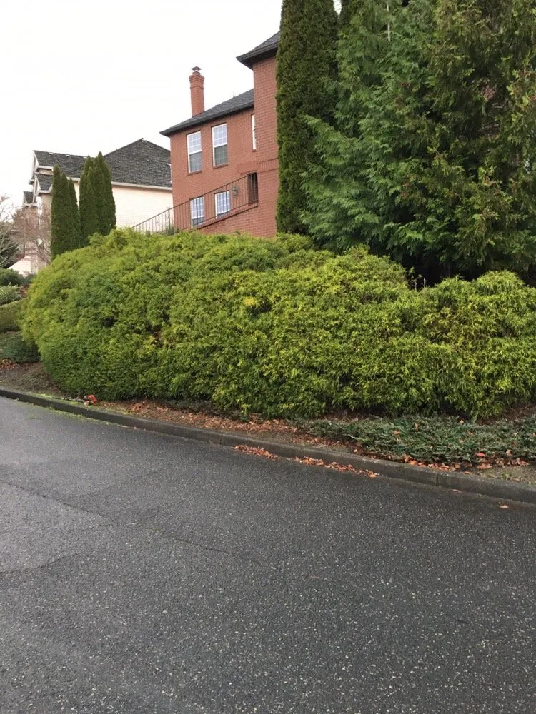 Reliable yard maintenance in Beaverton, OR by Precise Lawn Care