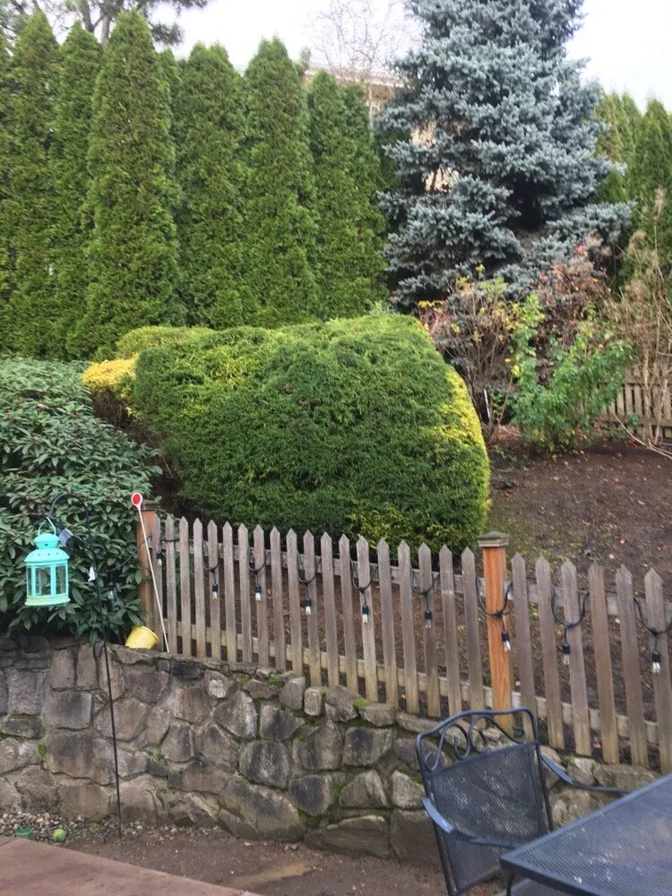 Reliable lawn care service in Beaverton, OR by Precise Lawn Care