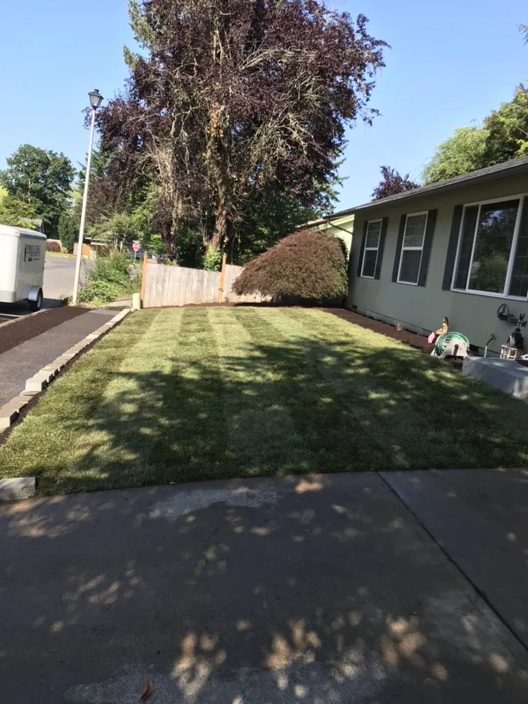 Local yard cleanup service in Beaverton, OR - Precise Lawn Care