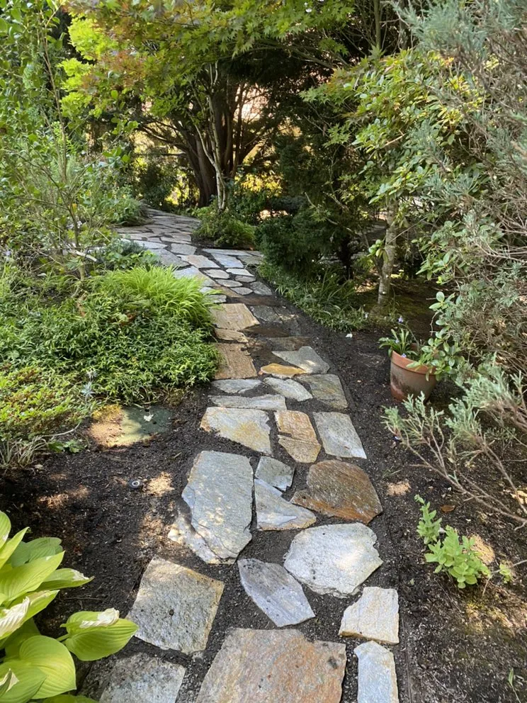 Reliable lawn care service in Beaverton, OR - Precise Lawn Care