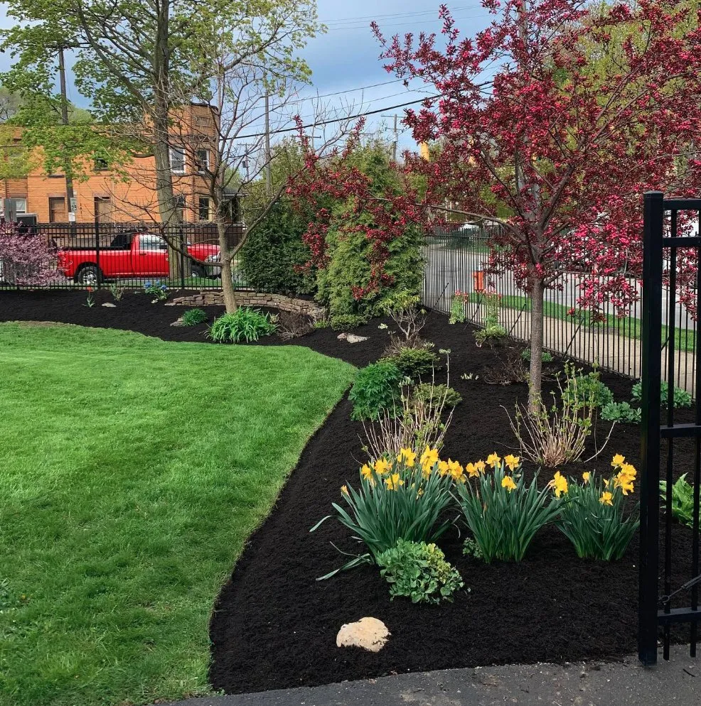 Reliable lawn care service for beautiful yards in Berea, OH by Precise Lawn Care