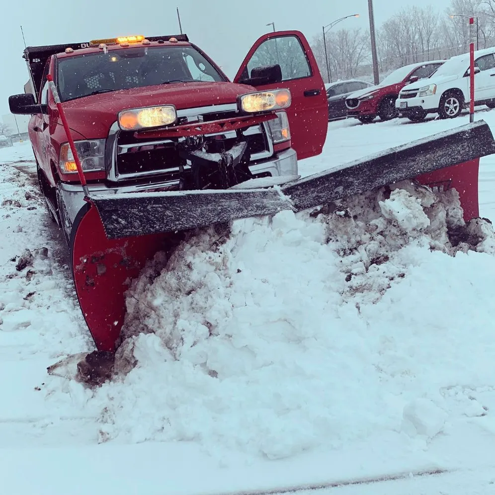 Expert lawn care service experts serving Berea, OH - Precise Lawn Care