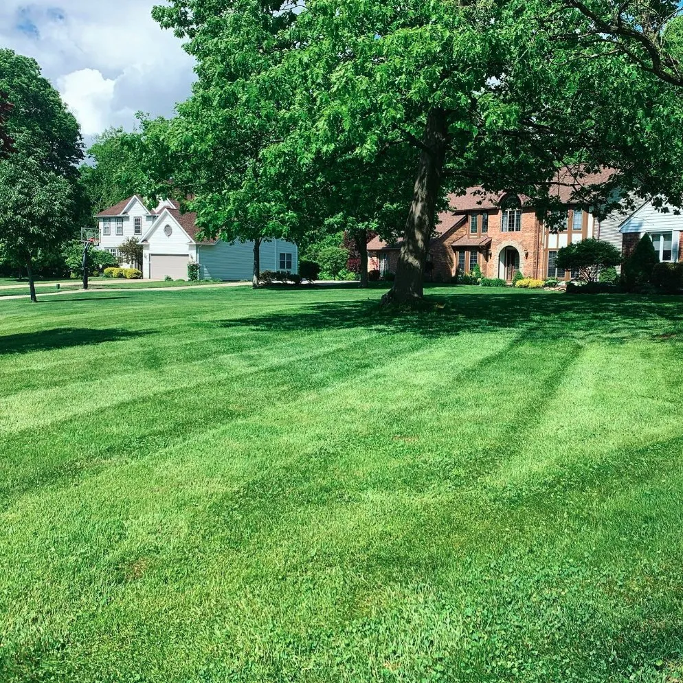 Professional yard maintenance in Berea, OH - Precise Lawn Care