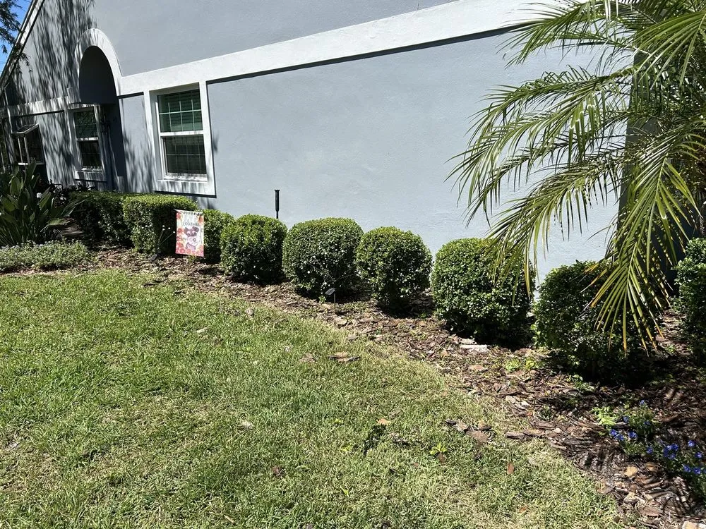 Top-rated landscape design for residential properties across Clearwater, FL - Precise Lawn Care