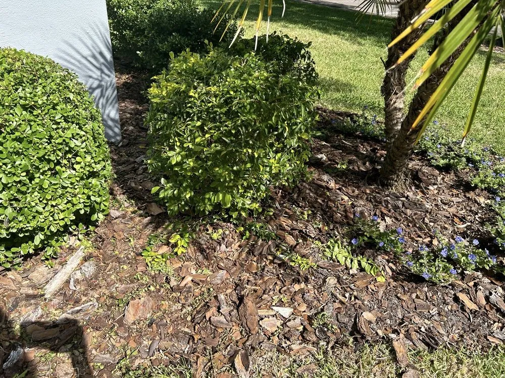Trusted garden landscaping in Clearwater, FL by Precise Lawn Care