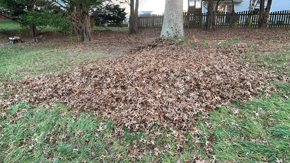 Local landscape design in Mechanicsville, VA by Precise Lawn Care