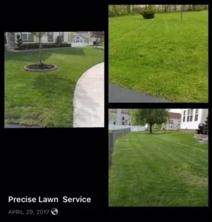 Precise Lawn Care