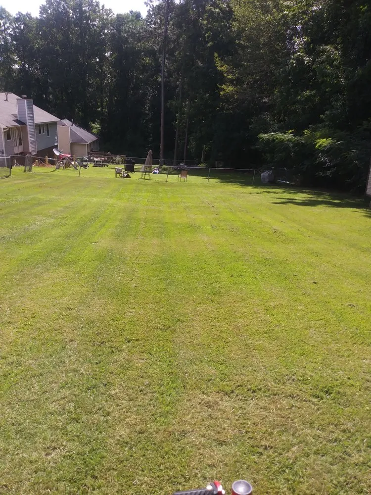Professional yard cleanup service with custom design in Pleasant Grove, AL by Precise Lawn Care