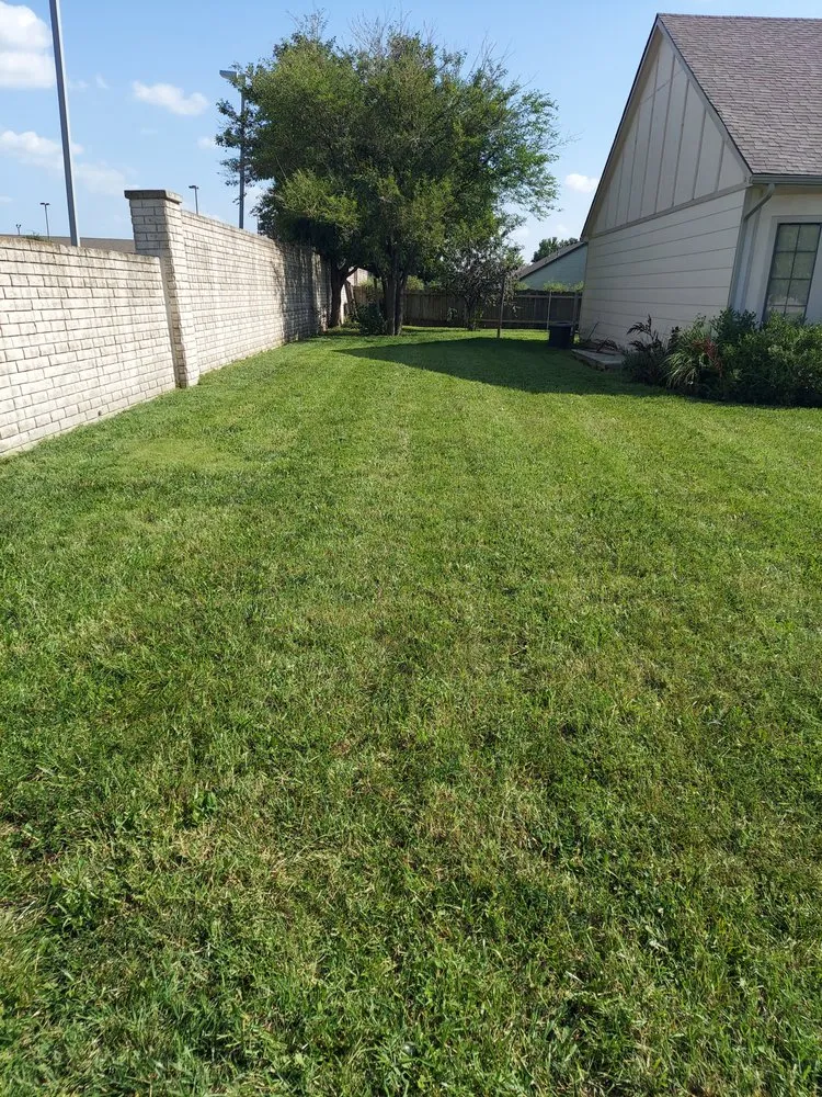 Top-rated yard maintenance in Wichita, KS by Precise Lawn Care