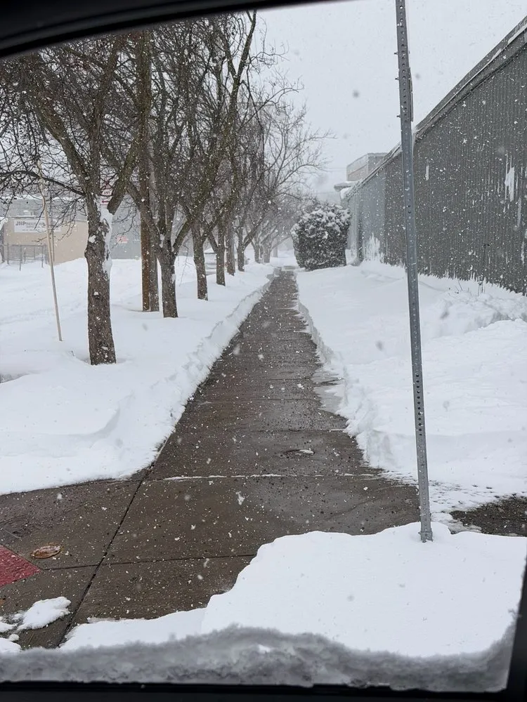 Expert yard maintenance for residential properties across Syracuse, NY - Precise  Maintenance