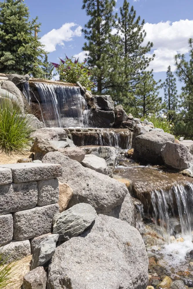 Reliable lawn mowing service in Reno, NV by Precise Outdoor Designs