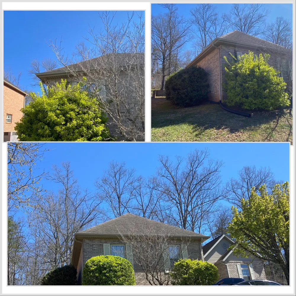 Custom lawn care service experts serving Knoxville, TN - Precision 1 Property Care