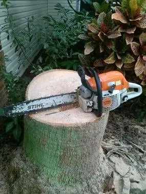 Affordable lawn mowing service with custom design across Orlando, FL - Precision 1 Tree Services