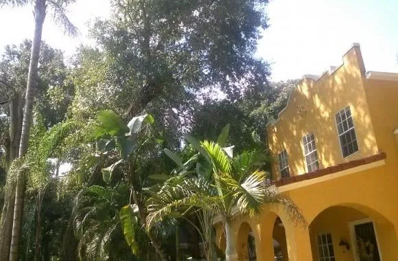 Expert residential landscaping for outdoor upgrades across Orlando, FL - Precision 1 Tree Services