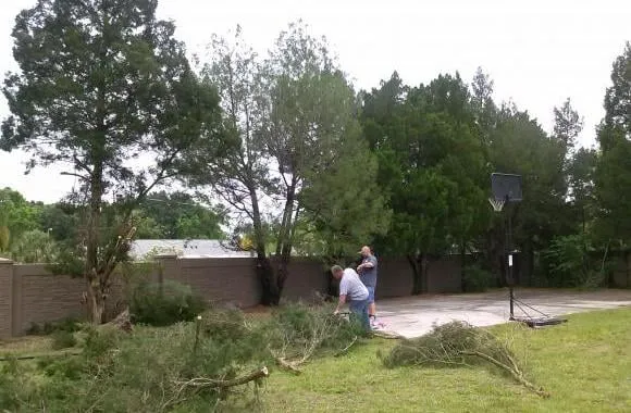 Professional residential landscaping in Orlando, FL - Precision 1 Tree Services